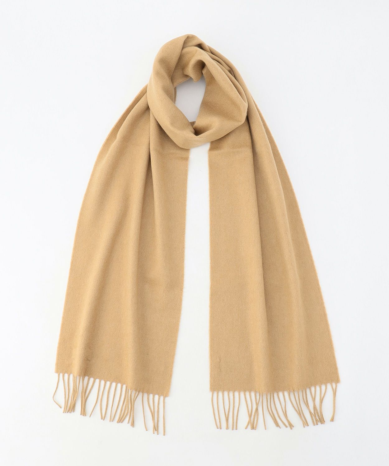 HB4315/Camel