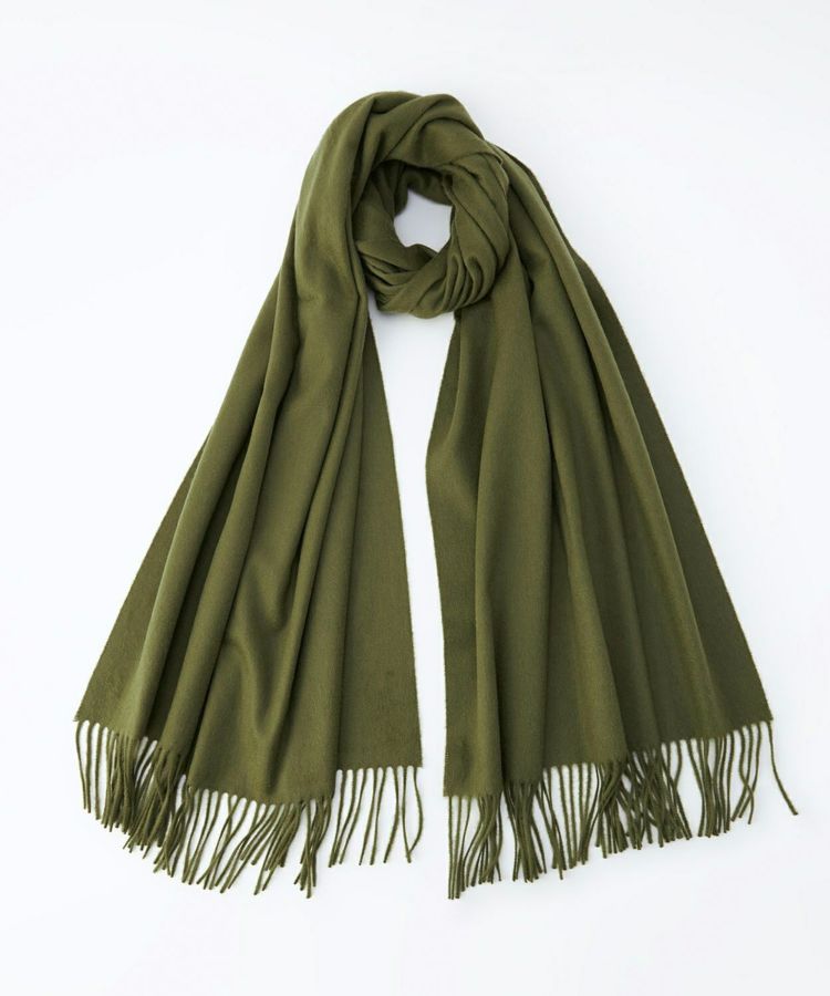 SC4596/Olive