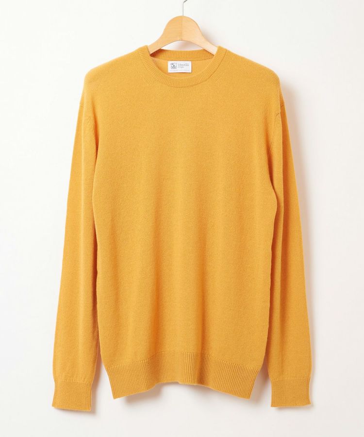 SF4149/Amber