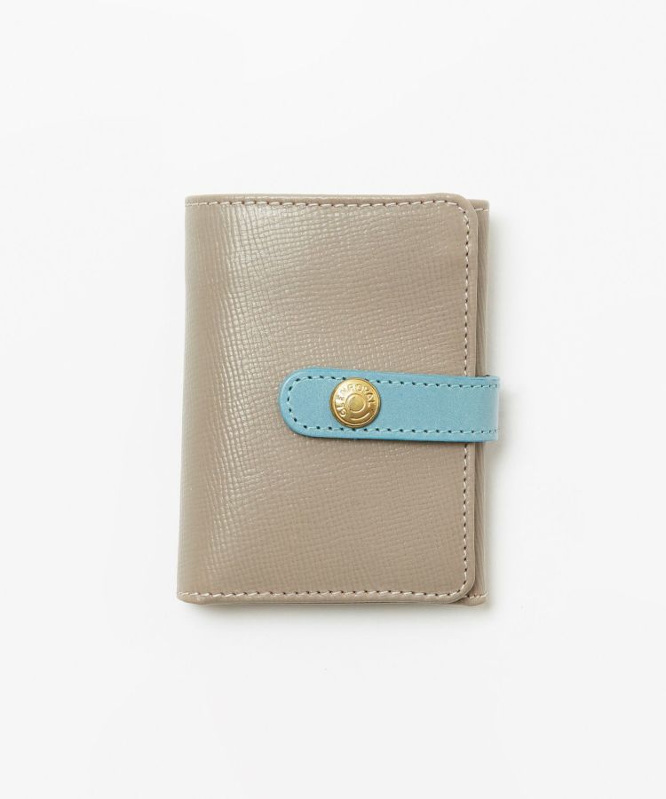 SAFFIANO TAUPE × MINT GREEN