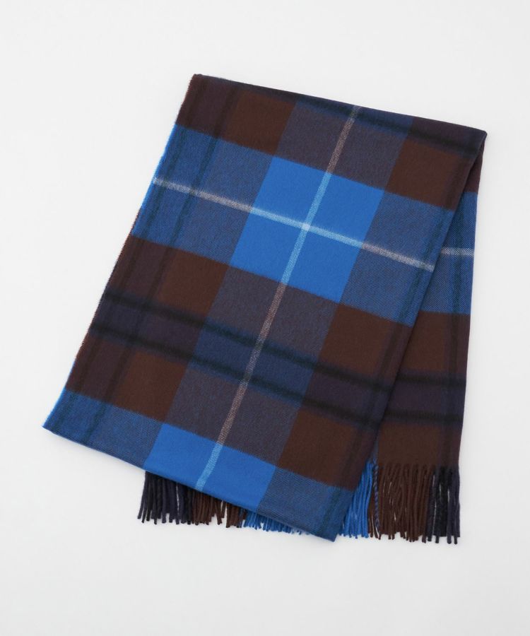 AU9178/BLUE&BROWN STOLE