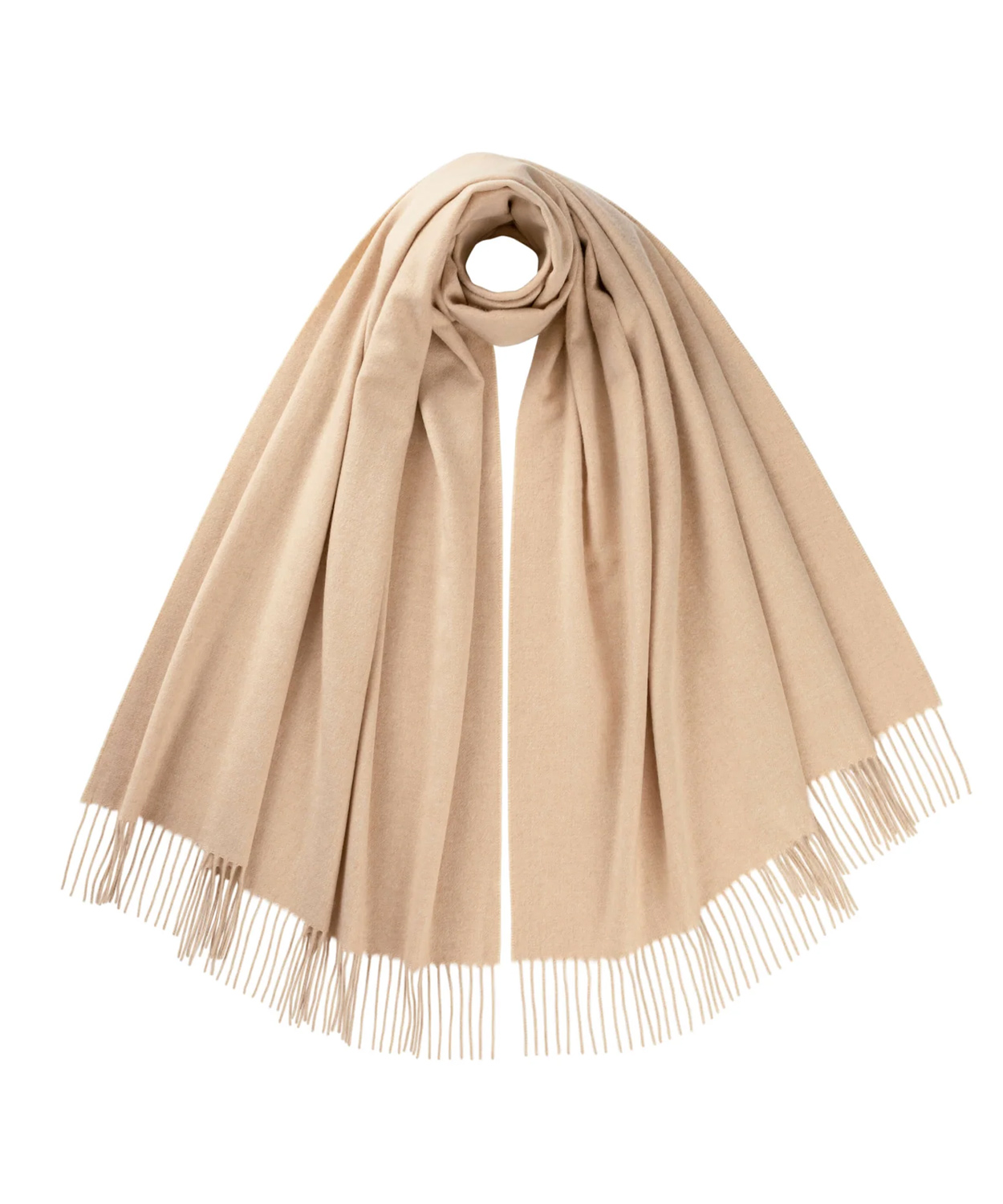 SC4596/Olive