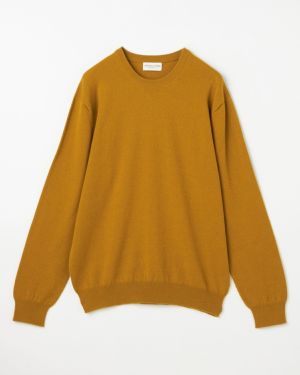 SF4347/Ochre