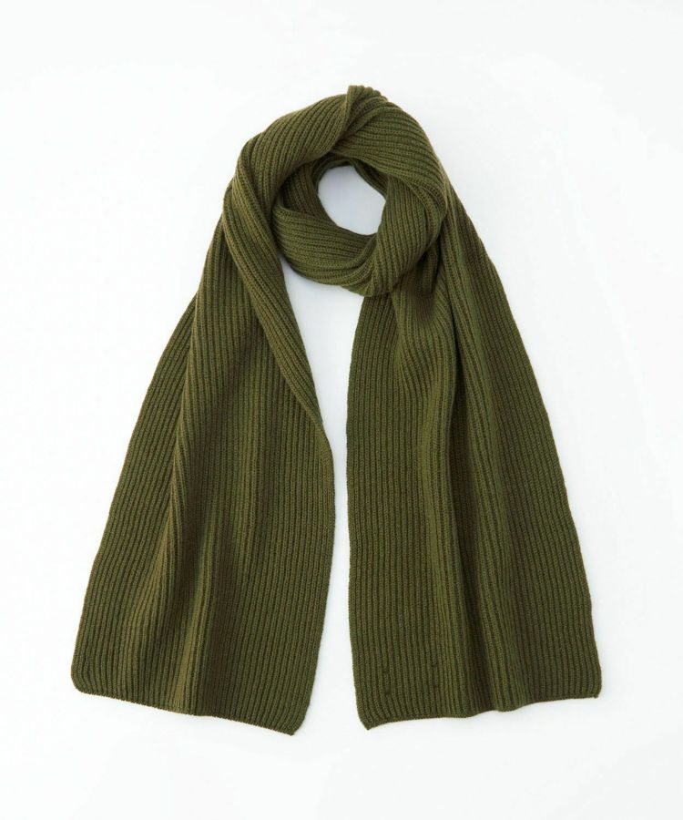 SC4573/SFA Olive