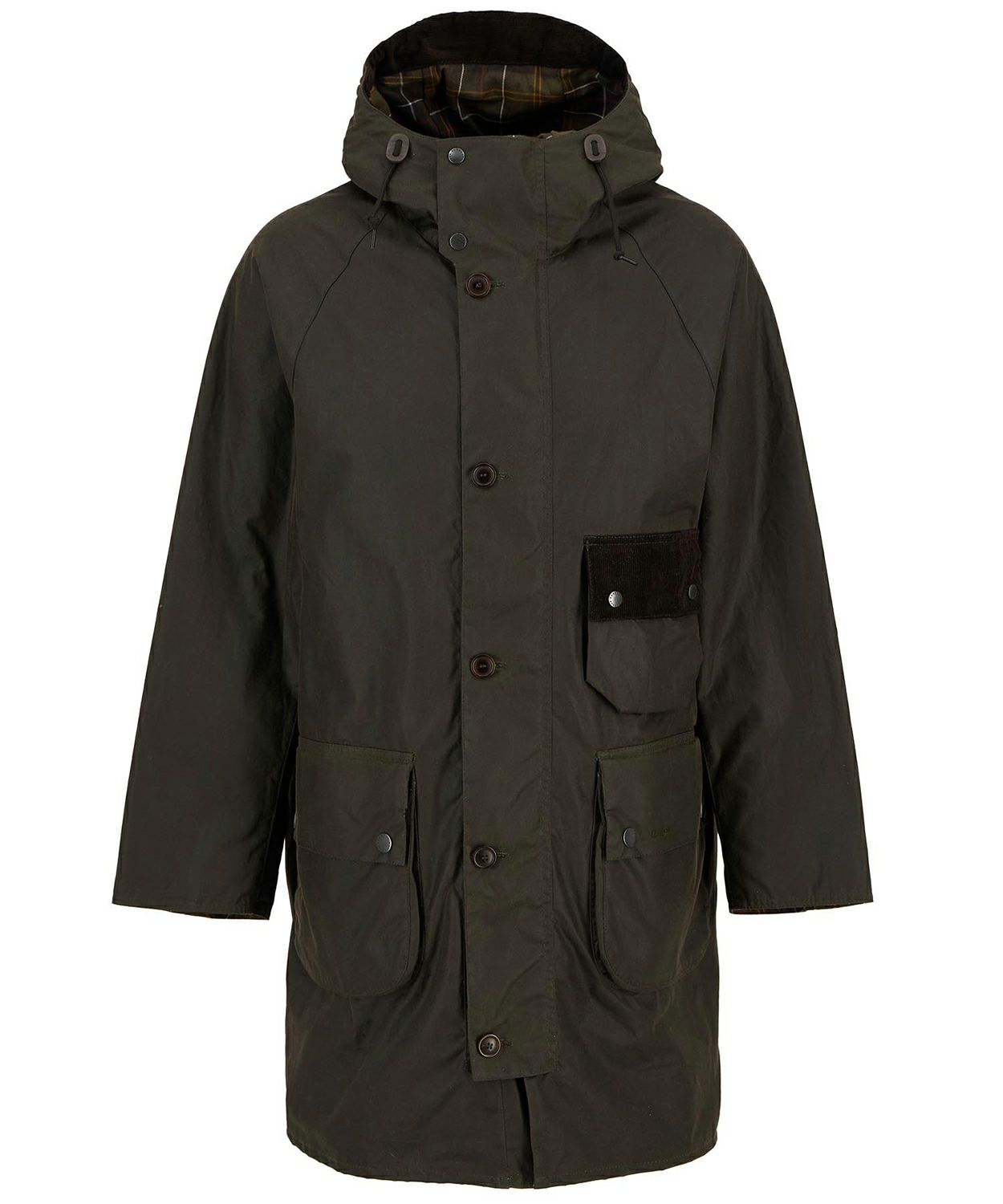 ARCHIVE OLIVE