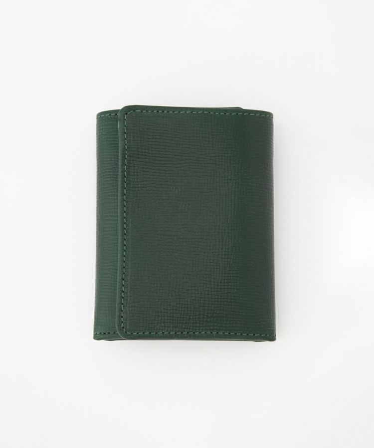 BOTTLE GREEN x CIGAR