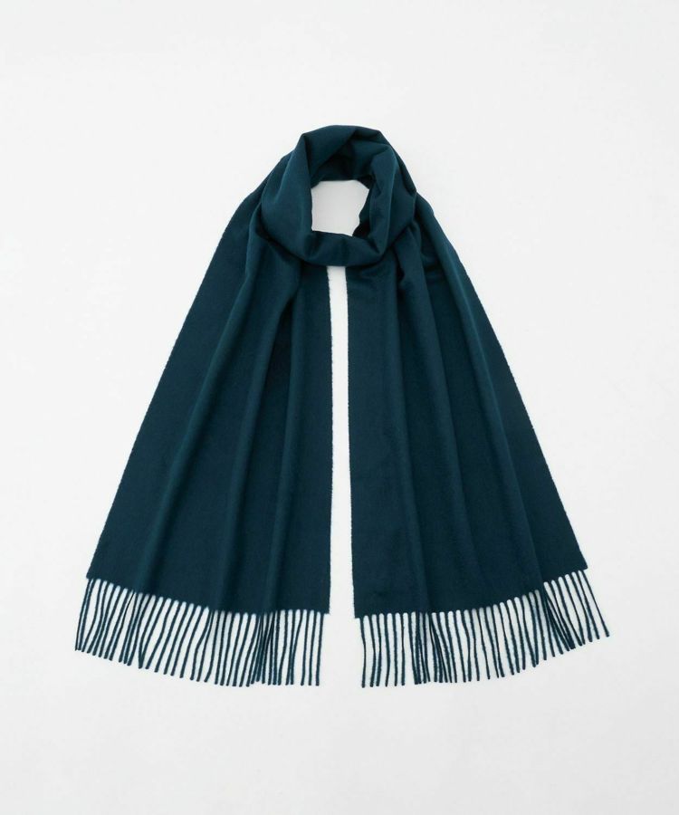 000000008154-01-l.jpg?t=